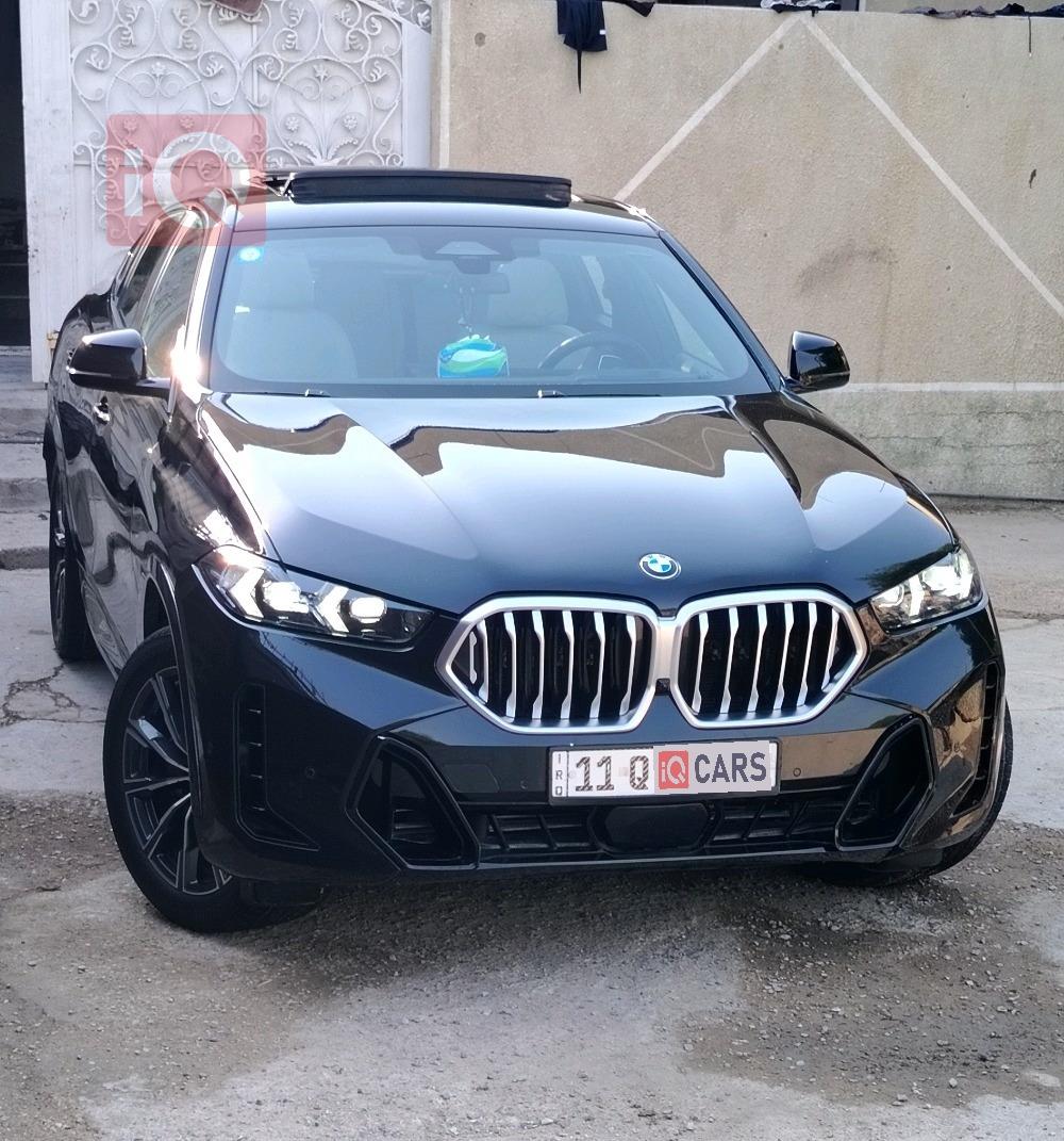 BMW X6